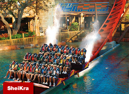 Busch Gardens Tampa Bay Single Day - Acima de 3 anos